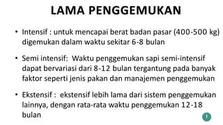 LAMA PENGGEMUKAN
1
• Semi intensif: Waktu penggemukan sapi semi-intensif
dapat bervariasi dari 8-12 bulan tergantung pada banyak
faktor seperti jenis pakan dan manajemen penggemukan
• Intensif : untuk mencapai berat badan pasar (400-500 kg)
digemukan dalam waktu sekitar 6-8 bulan
• Ekstensif : ekstensif lebih lama dari sistem penggemukan
lainnya, dengan rata-rata waktu penggemukan 12-18
bulan
 