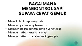 BAGAIMANA
MENGONTROL SAPI
SUPAYA CEPAT GEMUK
1
• Memilih bibit sapi yang baik
• Memberi pakan yang bernutrisi
• Memberi pakan dengan jumlah yang tepat
• Memperhatikan kesehatan sapi
• Memperhatikan manajemen lingkungan
 