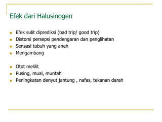 Efek dari Halusinogen
 Efek sulit diprediksi (bad trip/ good trip)
 Distorsi persepsi pendengaran dan penglihatan
 Sensasi tubuh yang aneh
 Mengambang
 Otot melilit
 Pusing, mual, muntah
 Peningkatan denyut jantung , nafas, tekanan darah
 