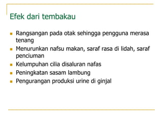 Efek dari tembakau
 Rangsangan pada otak sehingga pengguna merasa
tenang
 Menurunkan nafsu makan, saraf rasa di lidah, saraf
penciuman
 Kelumpuhan cilia disaluran nafas
 Peningkatan sasam lambung
 Pengurangan produksi urine di ginjal
 