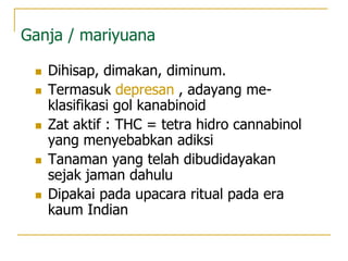 Ganja / mariyuana
 Dihisap, dimakan, diminum.
 Termasuk depresan , adayang me-
klasifikasi gol kanabinoid
 Zat aktif : THC = tetra hidro cannabinol
yang menyebabkan adiksi
 Tanaman yang telah dibudidayakan
sejak jaman dahulu
 Dipakai pada upacara ritual pada era
kaum Indian
 