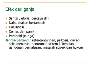 Efek dari ganja
 Santai , eforia, percaya diri
 Nafsu makan bertambah
 Halusinasi
 Cemas dan panik
 Poranoid (curiga)
Jangka panjang : ketergantungan, psikosis, gairah
seks menurun, penurunan sistem kekebalan,
gangguan pernafasan, masalah sos-ek dan hukum
 