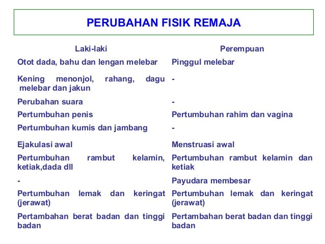 Materi pkpr
