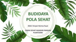 BUDIDAYA
POLA SEHAT
Oleh: Feryan Herma Fauzi
OMAH SEHAT MANDIRI PANGAN
PLANTZONE
 