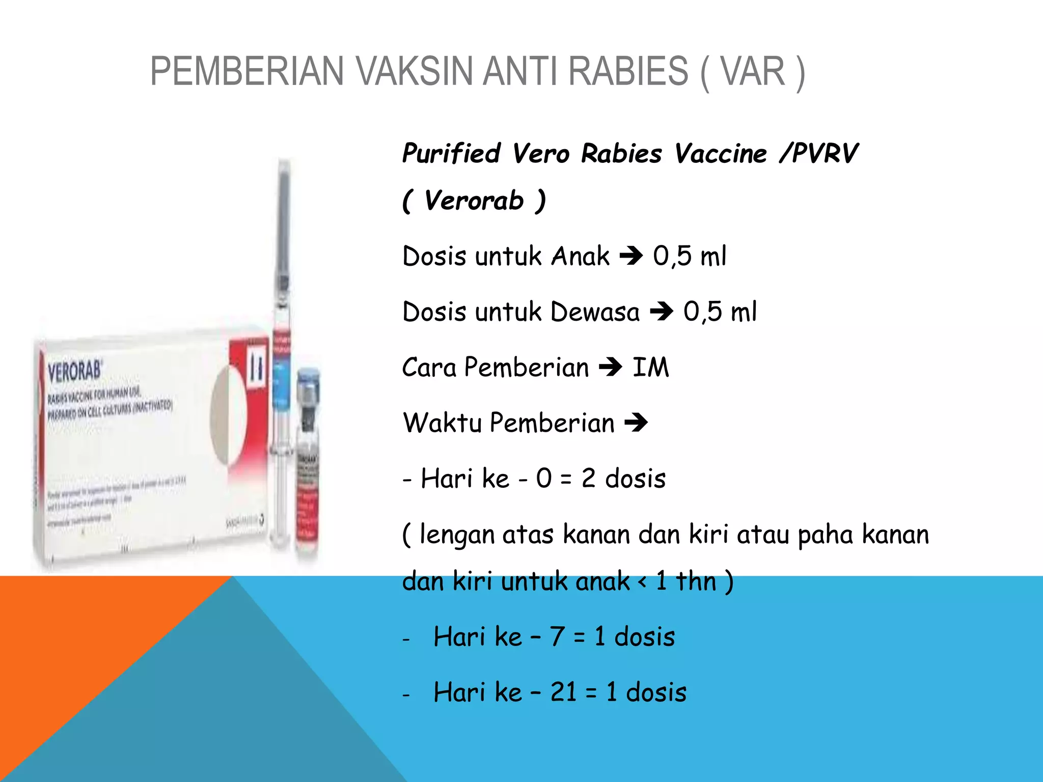 MATERI RABIES.pptx