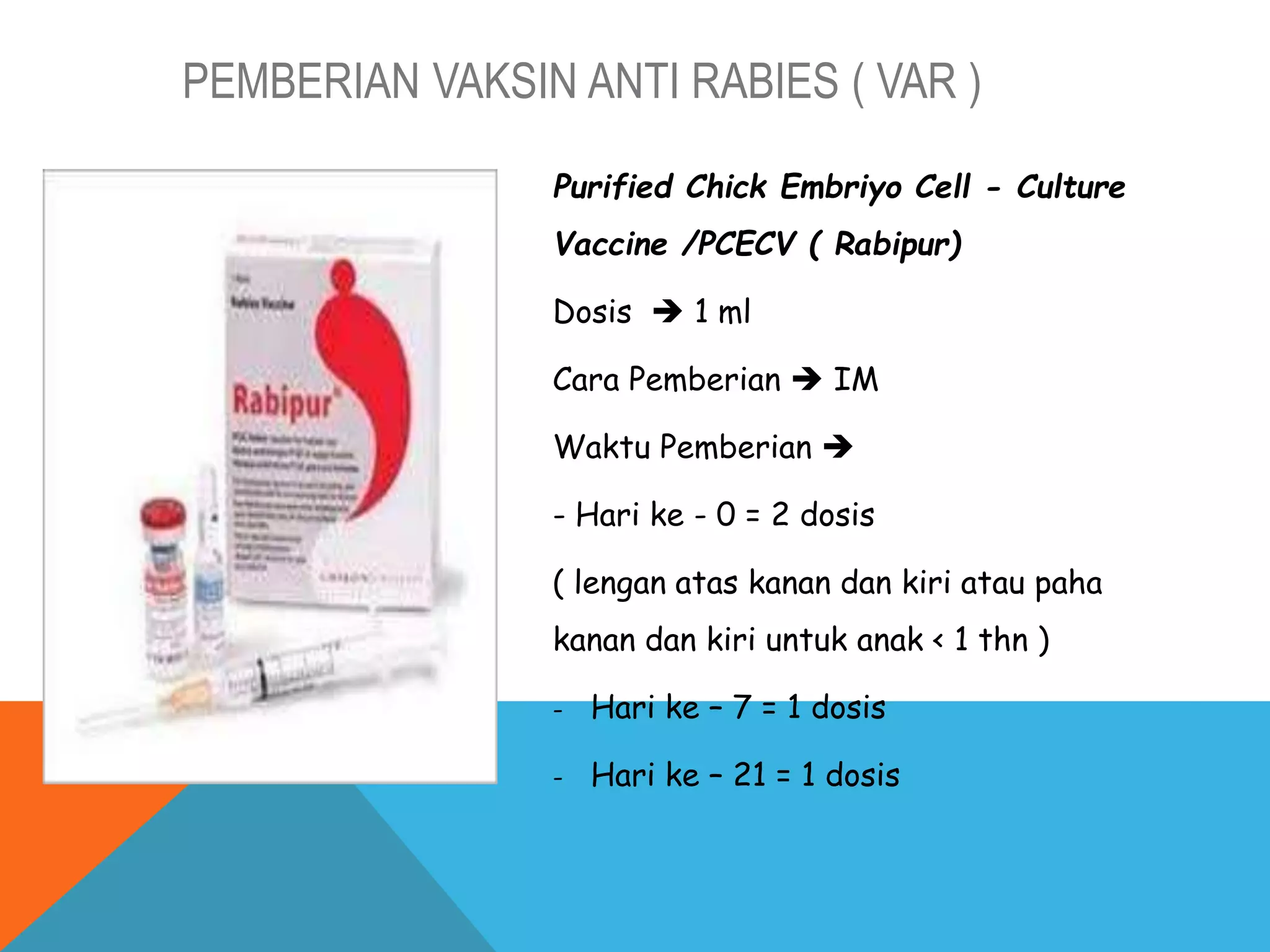 MATERI RABIES.pptx