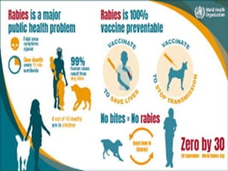 MATERI RABIES.pptx