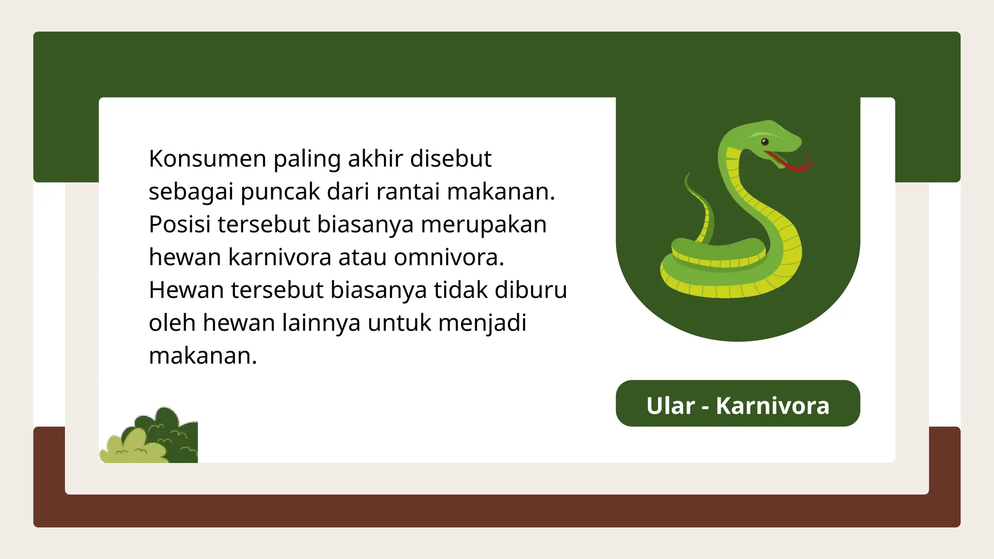 7808324 | LKPD AUDITORI - IPAS KELAS 5: RANTAI MAKANAN Materi ipas tentang rantai makanan kelas 5