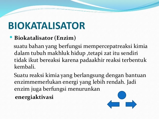 Materi Reaksi Katalisator Biokatalisator