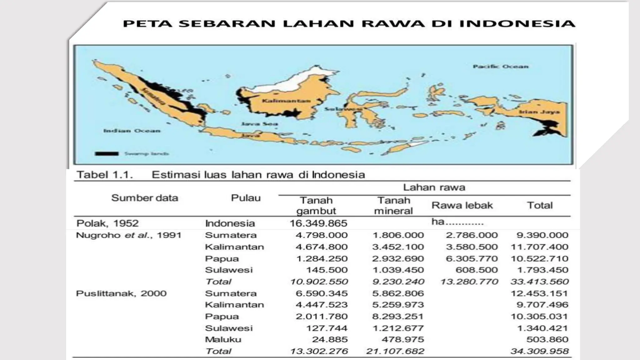 Lahaf Rawsam Materi Rekayasa Lahan Rawa 1 Pasang Surut dan Lebak.pptx