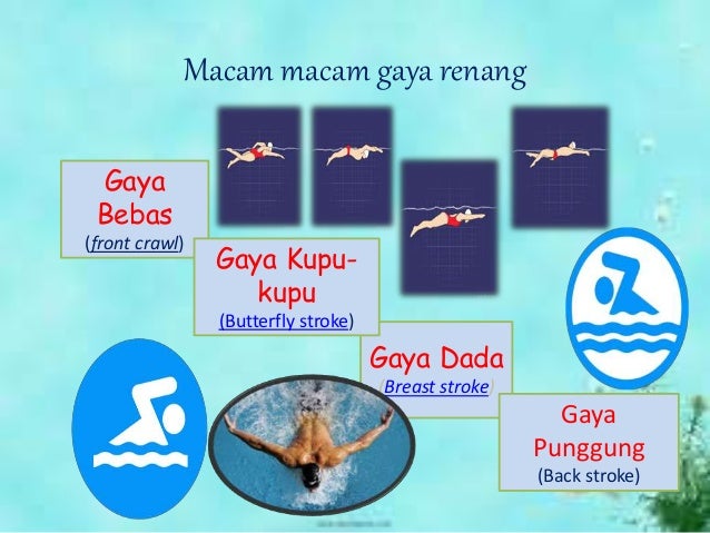 Materi Renang Pendidikan Kesehatan Dan Jasmani Sman Sumatera Selat