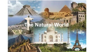 The Natural World
 