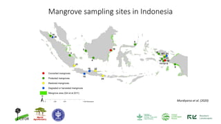 Contributions of Mangroves in Achieving Emission Reduction Targets