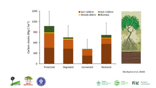 Contributions of Mangroves in Achieving Emission Reduction Targets