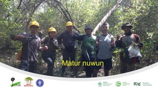 Contributions of Mangroves in Achieving Emission Reduction Targets