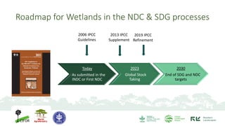 Contributions of Mangroves in Achieving Emission Reduction Targets