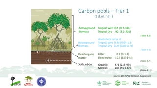 Contributions of Mangroves in Achieving Emission Reduction Targets