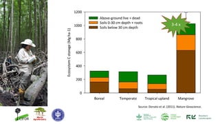 Contributions of Mangroves in Achieving Emission Reduction Targets