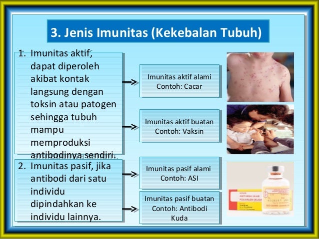 Imunisasi Pasif Kompasiana Com