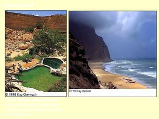 Incense Road




In the hidden valley at Sarif,
spring-fed ponds have been
cooling weary desert travelers
for 6,000 years.
 