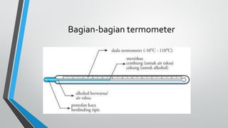 Bagian-bagian termometer
 