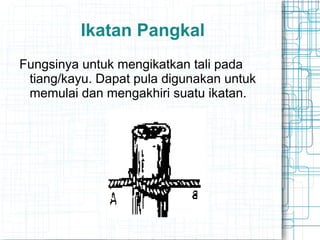 Ikatan Pangkal
Fungsinya untuk mengikatkan tali pada
tiang/kayu. Dapat pula digunakan untuk
memulai dan mengakhiri suatu ikatan.
 