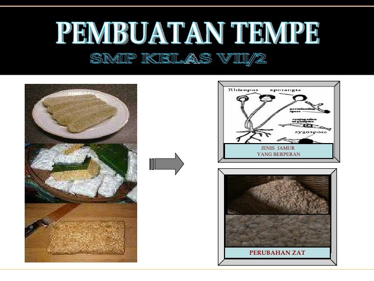 Materi Tesis Materi Tesis
