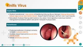Rinitis Virus
116
4
A
Gejala Klinis
• Stadium prodromal : rasa panas di belakang hidung disusul dengan hidung tersumbat,
keluar ingus encer dan bersin-bersin. Dapat disertai dengan demam dan nyeri kepala.
• Kerusakan mukosa hidung oleh karena virus akan meningkatkan kolonisasi bakteri 🡪
mengubah konsistensi sekret dari jernih menjadi mukopurulen.
Pemeriksaan
• Pada pemeriksaan rinoskopi anterior,
tampak mukosa edema.
• Mukosa dapat berwarna pucat atau
merah muda.
• Sekret seromukus (encer)
 