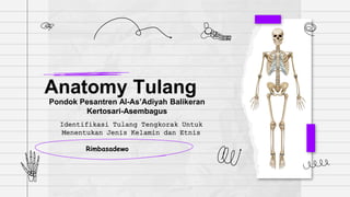 Pondok Pesantren Al-As’Adiyah Balikeran
Kertosari-Asembagus
Anatomy Tulang
Rimbasadewo
Identifikasi Tulang Tengkorak Untuk
Menentukan Jenis Kelamin dan Etnis
 
