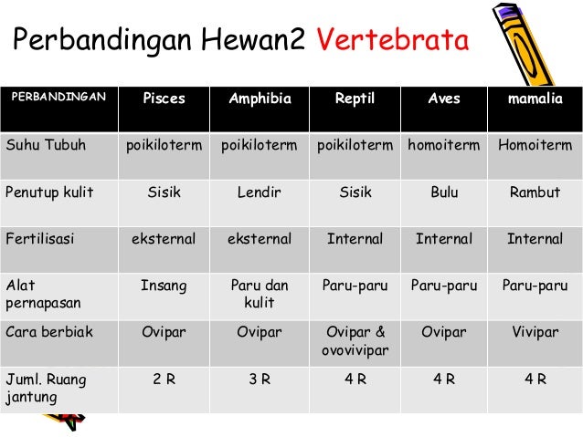 Materi ujian nasional 2012 2013