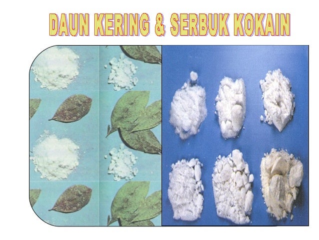 Jazmedia Materi umum narkoba #napza (2)