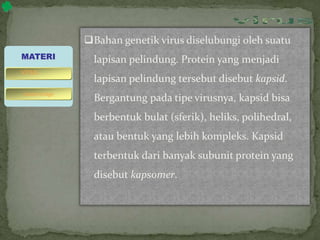 Bahan genetik virus diselubungi oleh suatu
lapisan pelindung. Protein yang menjadi
lapisan pelindung tersebut disebut kapsid.
Bergantung pada tipe virusnya, kapsid bisa
berbentuk bulat (sferik), heliks, polihedral,
atau bentuk yang lebih kompleks. Kapsid
terbentuk dari banyak subunit protein yang
disebut kapsomer.
MATERI
bakteriofage
virus
 