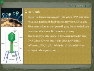 Isi tubuh
Bagian isi tersusun atas asam inti, yakni DNA saja atau
RNA saja. Bagian isi disebut sebagai virion. DNA atau
RNA merupakan materi genetik yang berisi kode-kode
pembawa sifat virus. Berdasarkan isi yang
dikandungnya, virus dapat dibedakan menjadi virus
DNA (virus T, virus cacar) dan virus RNA (virus
influenza, HIV, H5N1). Selain itu di dalam isi virus
terdapat beberapa enzim.
MATERI
bakteriofage
virus
 