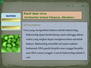 Klasif ikasi virus
berdasarkan tempat hidupnya, dibedakan :
 Virus bakteri
Virus yang menginfeksi bakteri adalah bakteriofag.
Bakteriofag dapat berkembang cepat sehingga dalam
waktu yang singkat dapat menghancurkan sejumlah
bakteri. Bakteriofag memiliki inti asam nukleat
berbentuk DNA ganda berpilin atau tunggal berpilin
atau RNA rantai tunggal. Contoh bakteriofag adalah E.
coli.
MATERI
bakteriofage
virus
 