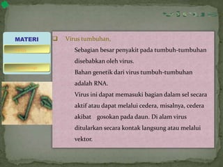  Virus tumbuhan,
Sebagian besar penyakit pada tumbuh-tumbuhan
disebabkan oleh virus.
Bahan genetik dari virus tumbuh-tumbuhan
adalah RNA.
Virus ini dapat memasuki bagian dalam sel secara
aktif atau dapat melalui cedera, misalnya, cedera
akibat gosokan pada daun. Di alam virus
ditularkan secara kontak langsung atau melalui
vektor.
MATERI
bakteriofage
virus
 