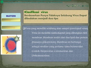 Klasifikasi virus
Berdasarkan Punya Tidaknya Selubung Virus Dapat
dibedakan menjadi dua tipe
Virus yang memiliki selubung atau sampul (enveloped virus)
Virus ini memiliki nukleokapsid yang dibungkus oleh
membran. Membran terdiri dari dua lipid dan protein,
(biasanya glikoprotein). Membran ini berfungsi
sebagai struktur yang pertama-tama berinteraksi.
Contoh: Herpesvirus, Corronavirus, dan
Orthomuxovirus.
MATERI
bakteriofage
virus
DNA pita tunggal (DNA ss), DNA pita ganda (DNA ds), RNA pita tunggal (RNA ss), dan RNA pita ganda (RNA ds).DNA pita tunggal (DNA ss), DNA pita ganda (DNA ds), RNA pita tunggal (RNA ss), dan RNA pita ganda (RNA ds).
DNA pita tunggal (DNA ss), DNA pita ganda (DNA ds), RNA pita tunggal (RNA ss), dan RNA pita ganda (RNA ds).
 
