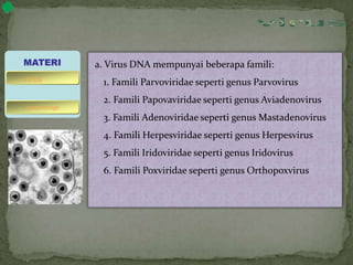 a. Virus DNA mempunyai beberapa famili:
1. Famili Parvoviridae seperti genus Parvovirus
2. Famili Papovaviridae seperti genus Aviadenovirus
3. Famili Adenoviridae seperti genus Mastadenovirus
4. Famili Herpesviridae seperti genus Herpesvirus
5. Famili Iridoviridae seperti genus Iridovirus
6. Famili Poxviridae seperti genus Orthopoxvirus
MATERI
bakteriofage
virus
 