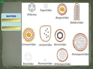 MATERI
bakteriofage
virus
 