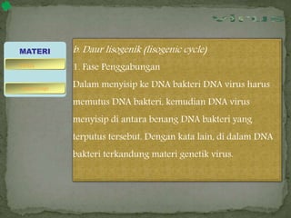 b. Daur lisogenik (lisogenic cycle)
1. Fase Penggabungan
Dalam menyisip ke DNA bakteri DNA virus harus
memutus DNA bakteri, kemudian DNA virus
menyisip di antara benang DNA bakteri yang
terputus tersebut. Dengan kata lain, di dalam DNA
bakteri terkandung materi genetik virus.
MATERI
bakteriofage
virus
 