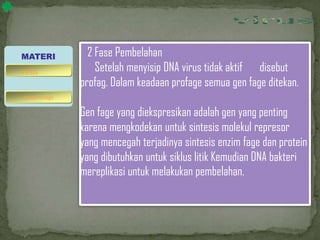 2 Fase Pembelahan
Setelah menyisip DNA virus tidak aktif disebut
profag. Dalam keadaan profage semua gen fage ditekan.
Gen fage yang diekspresikan adalah gen yang penting
karena mengkodekan untuk sintesis molekul represor
yang mencegah terjadinya sintesis enzim fage dan protein
yang dibutuhkan untuk siklus litik Kemudian DNA bakteri
mereplikasi untuk melakukan pembelahan.
MATERI
bakteriofage
virus
 
