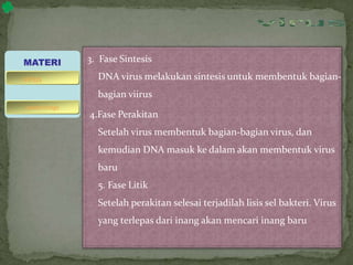 3. Fase Sintesis
DNA virus melakukan sintesis untuk membentuk bagian-
bagian viirus
4.Fase Perakitan
Setelah virus membentuk bagian-bagian virus, dan
kemudian DNA masuk ke dalam akan membentuk virus
baru
5. Fase Litik
Setelah perakitan selesai terjadilah lisis sel bakteri. Virus
yang terlepas dari inang akan mencari inang baru
MATERI
bakteriofage
virus
 