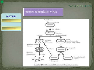 proses reproduksi virus
MATERI
bakteriofage
virus
 
