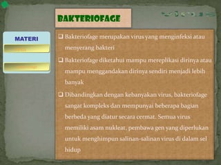 Bakteriofage
 Bakteriofage merupakan virus yang menginfeksi atau
menyerang bakteri
 Bakteriofage diketahui mampu mereplikasi dirinya atau
mampu menggandakan dirinya sendiri menjadi lebih
banyak
 Dibandingkan dengan kebanyakan virus, bakteriofage
sangat kompleks dan mempunyai beberapa bagian
berbeda yang diatur secara cermat. Semua virus
memiliki asam nukleat, pembawa gen yang diperlukan
untuk menghimpun salinan-salinan virus di dalam sel
hidup
MATERI
bakteriofage
virus
 