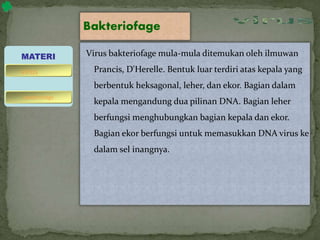 Bakteriofage
Virus bakteriofage mula-mula ditemukan oleh ilmuwan
Prancis, D'Herelle. Bentuk luar terdiri atas kepala yang
berbentuk heksagonal, leher, dan ekor. Bagian dalam
kepala mengandung dua pilinan DNA. Bagian leher
berfungsi menghubungkan bagian kepala dan ekor.
Bagian ekor berfungsi untuk memasukkan DNA virus ke
dalam sel inangnya.
MATERI
bakteriofage
virus
 
