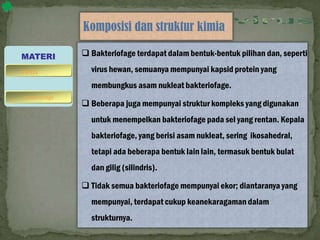 Komposisi dan struktur kimia
 Bakteriofage terdapat dalam bentuk-bentuk pilihan dan, seperti
virus hewan, semuanya mempunyai kapsid protein yang
membungkus asam nukleat bakteriofage.
 Beberapa juga mempunyai struktur kompleks yang digunakan
untuk menempelkan bakteriofage pada sel yang rentan. Kepala
bakteriofage, yang berisi asam nukleat, sering ikosahedral,
tetapi ada beberapa bentuk lain lain, termasuk bentuk bulat
dan gilig (silindris).
 Tidak semua bakteriofage mempunyai ekor; diantaranya yang
mempunyai, terdapat cukup keanekaragaman dalam
strukturnya.
MATERI
bakteriofage
virus
 