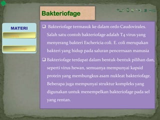 Bakteriofage
 Bakteriofage termasuk ke dalam ordo Caudovirales.
Salah satu contoh bakteriofage adalah T4 virus yang
menyerang bakteri Eschericia coli. E. coli merupakan
bakteri yang hidup pada saluran pencernaan manusia
 Bakteriofage terdapat dalam bentuk-bentuk pilihan dan,
seperti virus hewan, semuanya mempunyai kapsid
protein yang membungkus asam nukleat bakteriofage.
Beberapa juga mempunyai struktur kompleks yang
digunakan untuk menempelkan bakteriofage pada sel
yang rentan.
MATERI
bakteriofage
virus
 