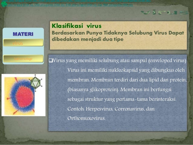Virus data