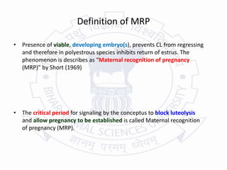Polyesterous Maternal-recognition-of-pregnancy.pptx