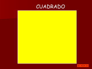 CUADRADO