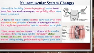 Maternal anatomical, physiological and biomechanical changes during ...